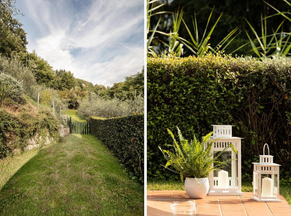 Casetta Di Butia, Glicine Apartment ボルゴ・ア・モッツァーノ エクステリア 写真