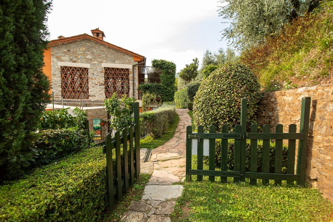 Casetta Di Butia, Glicine Apartment ボルゴ・ア・モッツァーノ エクステリア 写真